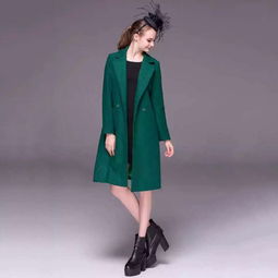 卓莱雅时尚女装加盟 卓莱雅时尚女装加盟多少钱 卓莱雅时尚女装连锁加盟店