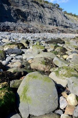 斩魔(回归服)解析:你需要了解的重要角色!